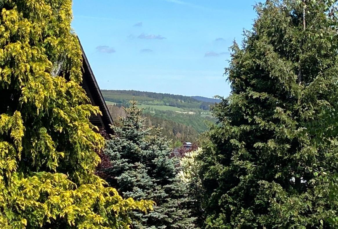 Ferienwohnung Kleine Auszeit Winterberg Fuer 2- 4 Personen Eksteriør billede